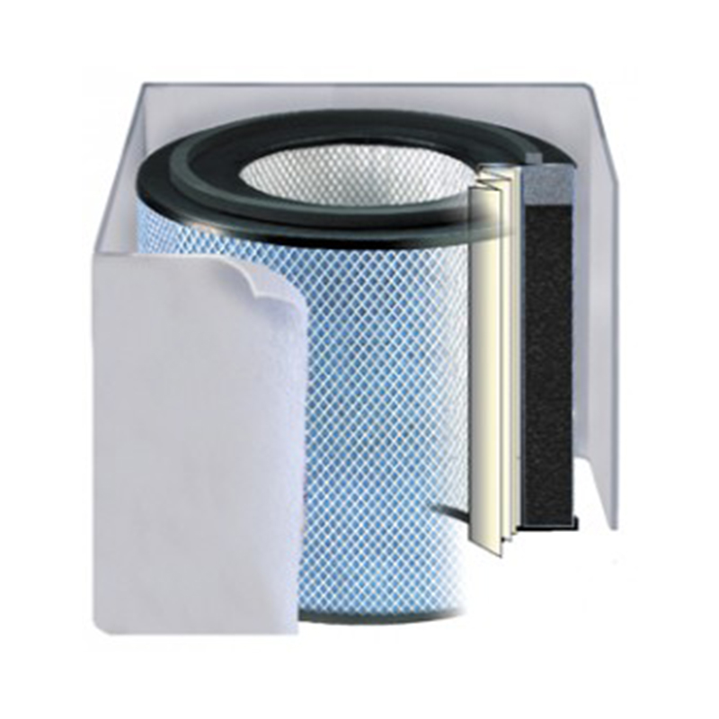 Austin air healthmate store standard air purifier